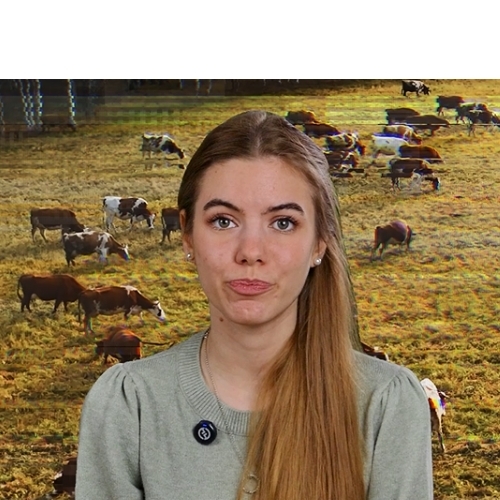 Black and White Elephant Logo (6)