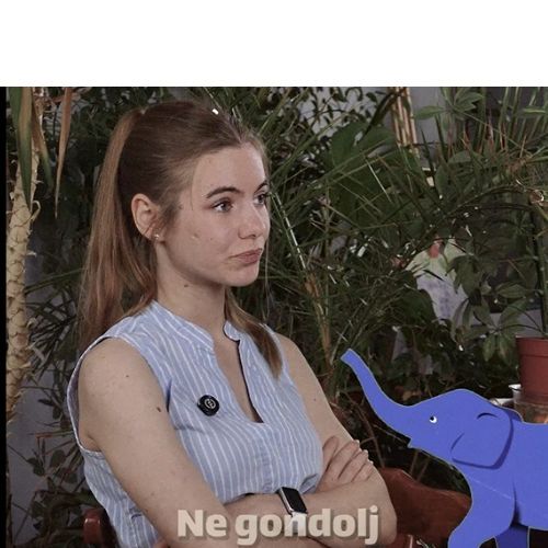 Black and White Elephant Logo (7)